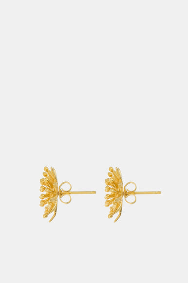 Mt Cook Lily Earrings Studs | 22ct Gold Plate